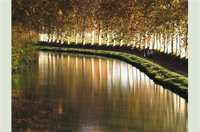 Fond ecran (107)
